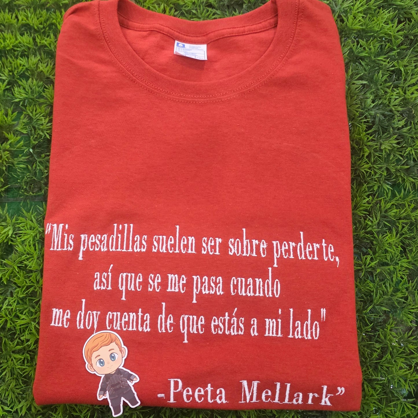 NOVIOS LITERARIOS