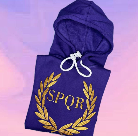 SUDADERA PERCY JACKSON BORDADA