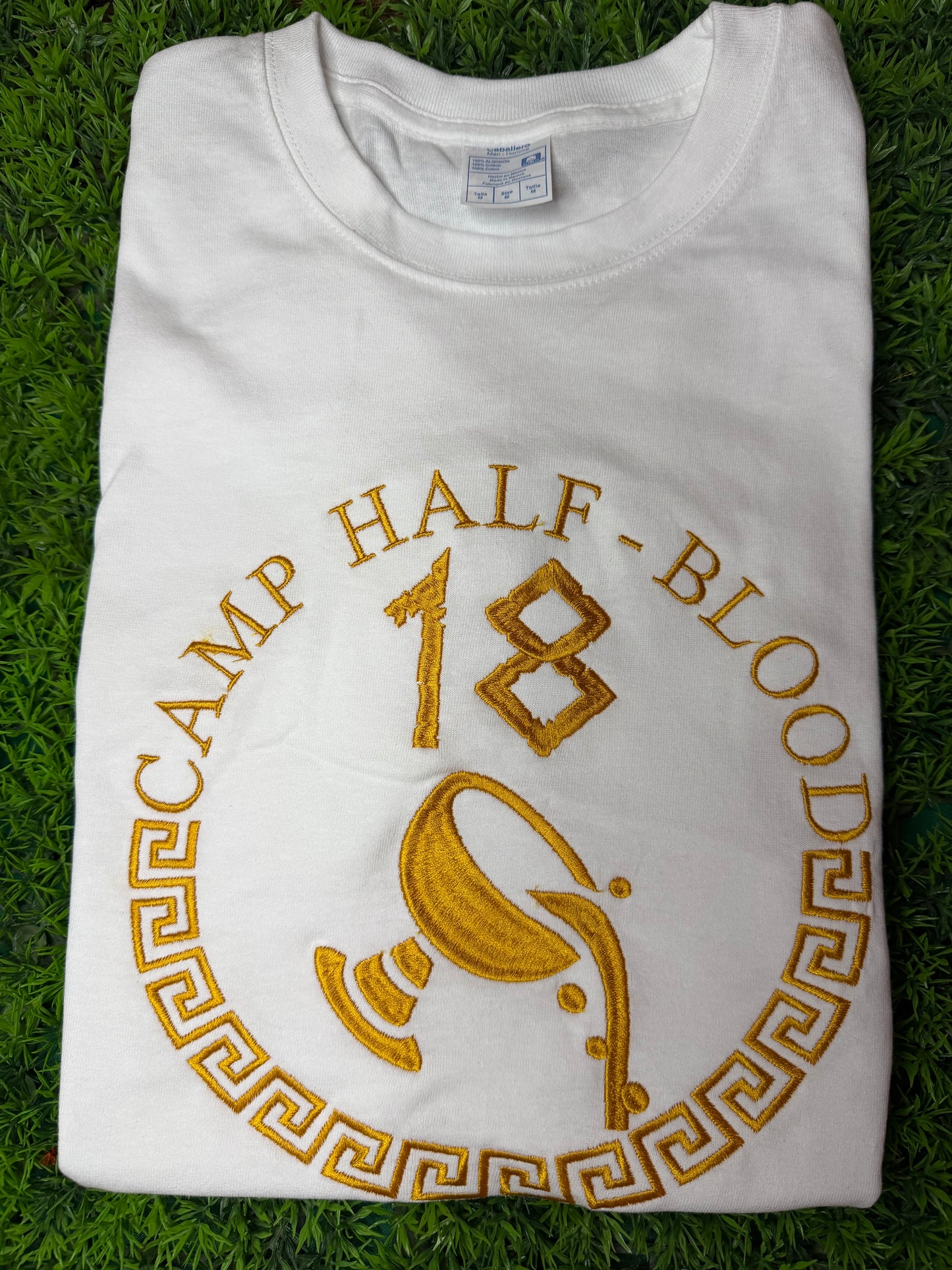 Playera Percy Jackson PARTE2
