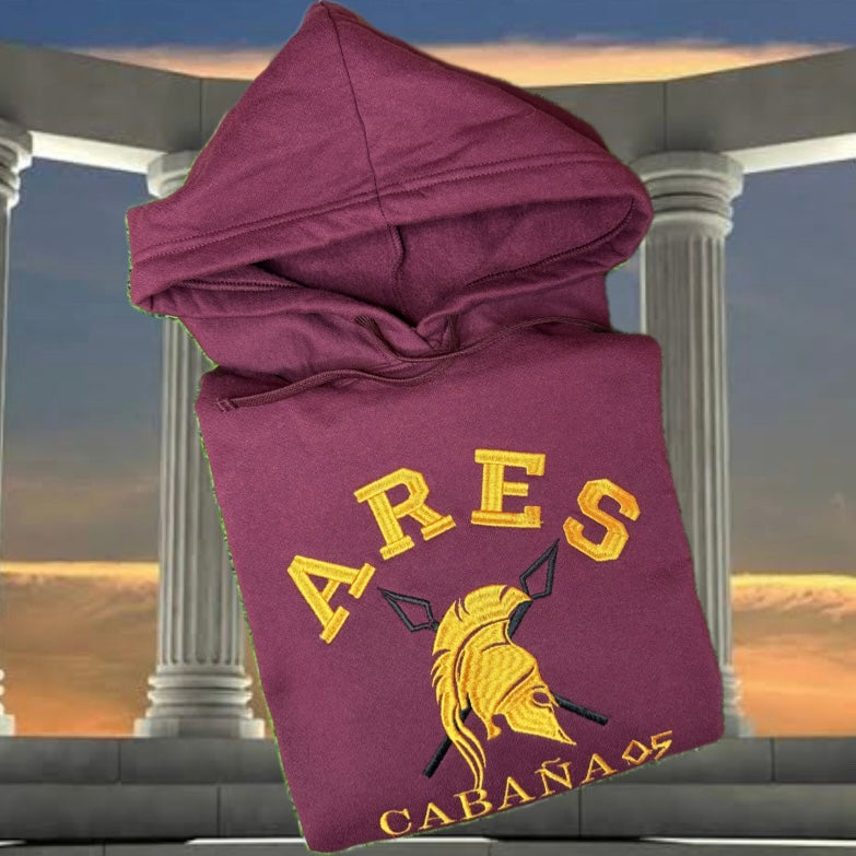 SUDADERA PERCY JACKSON BORDADA